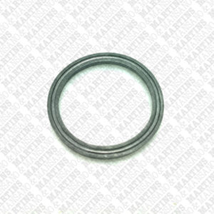 12501250 - Gaxeta de PARKER Molythane DI. 1 1/4" X DE. 1 1/2" X H. 1/8"